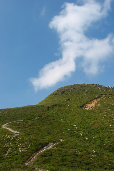 山徑路向明確