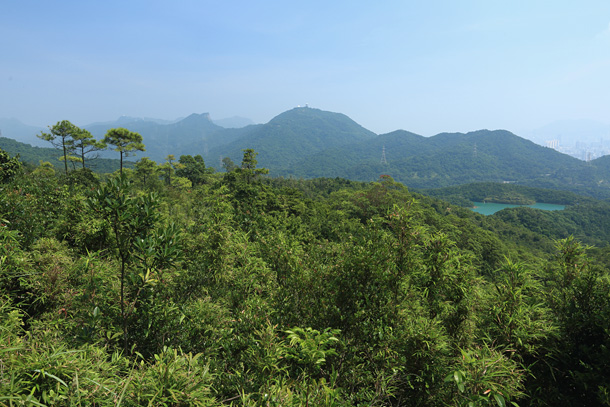 獅子山與畢架山