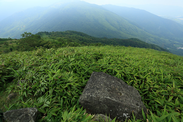 草山