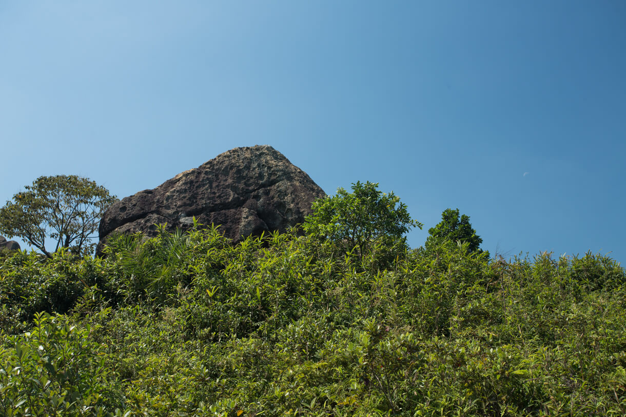 輕登315米山峰