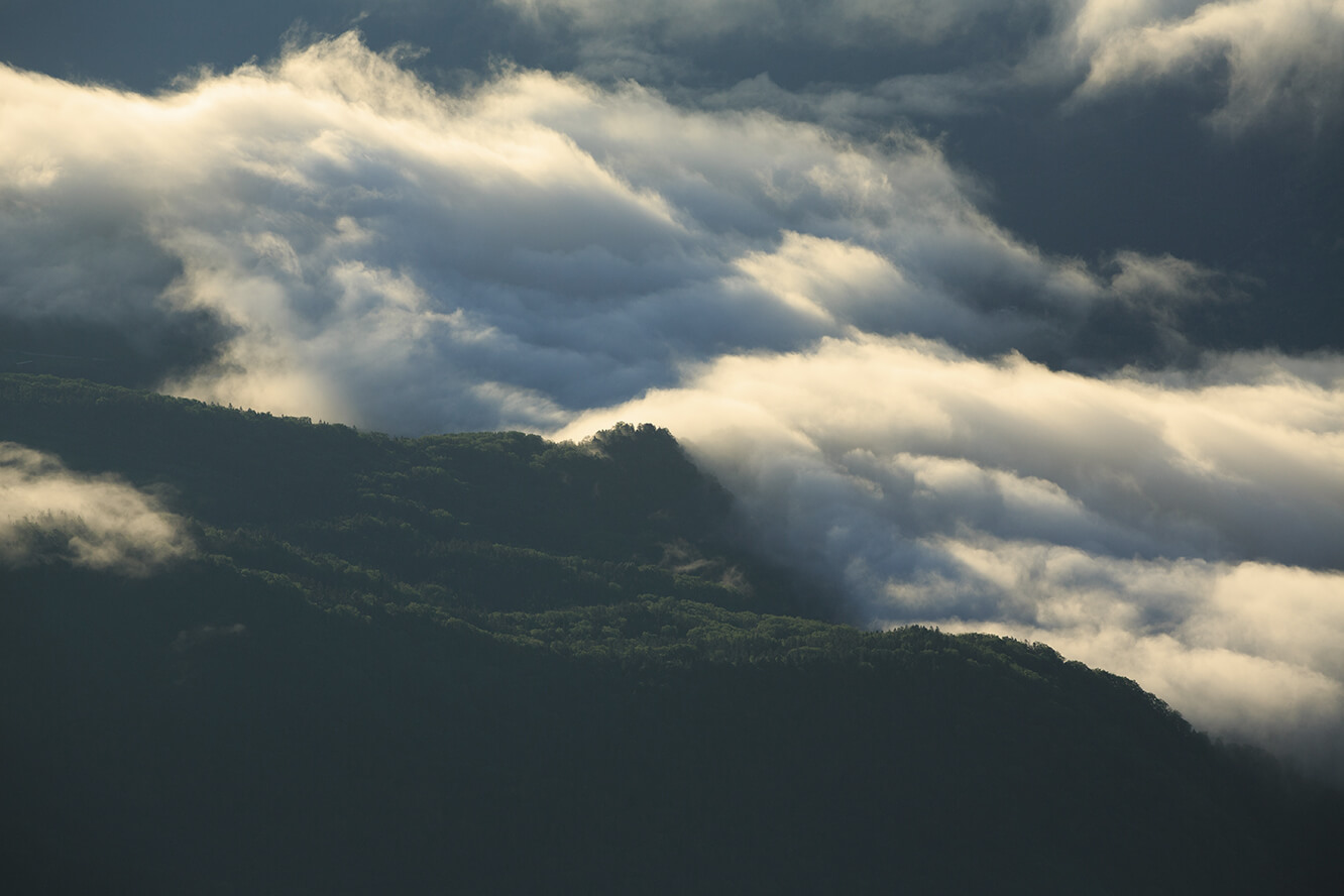 雲海