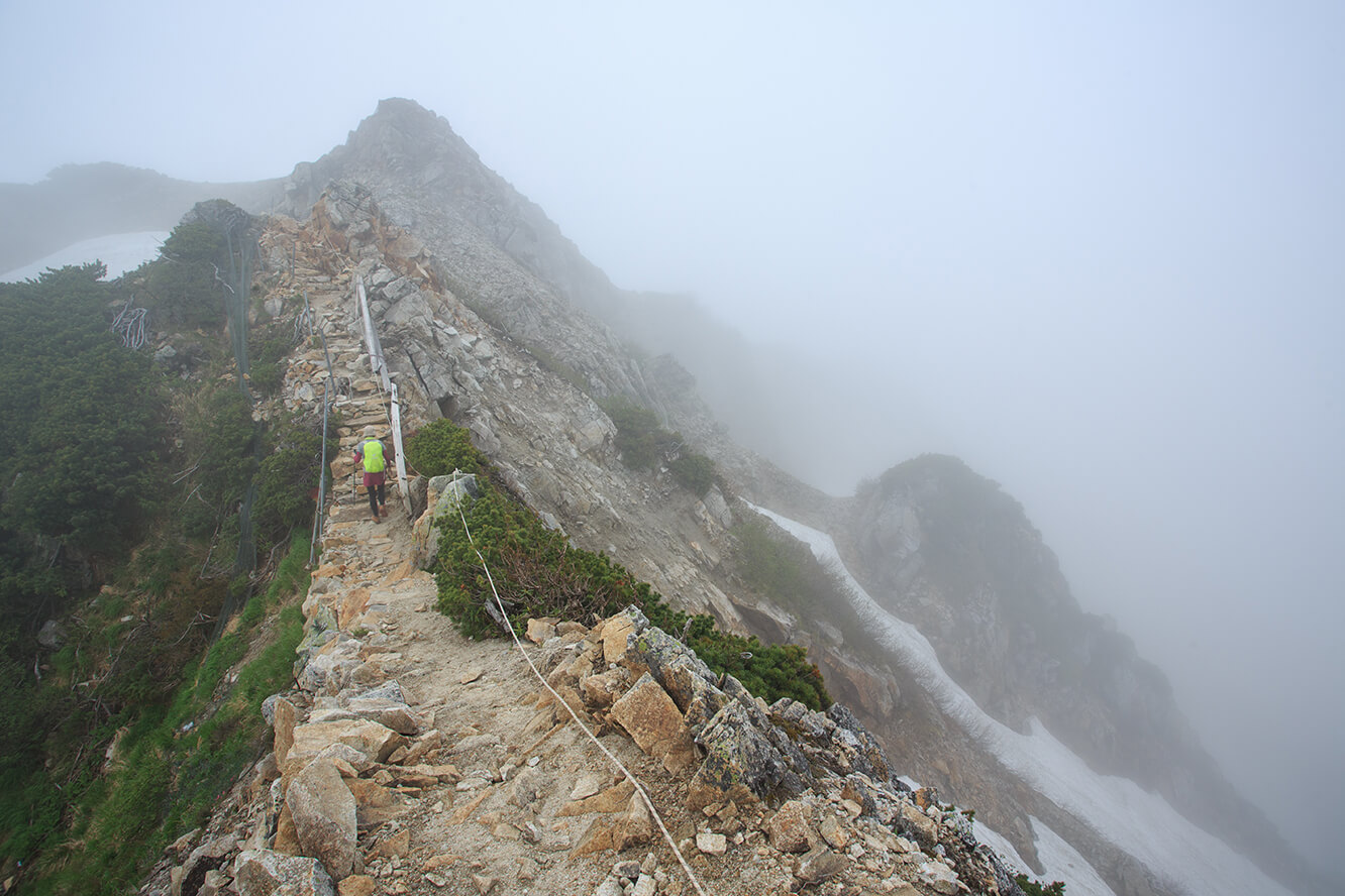 山霧又復來