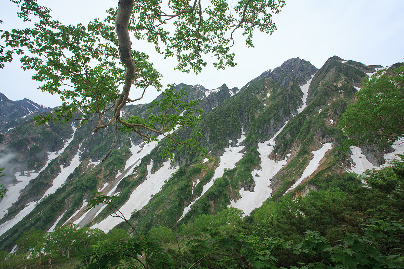 極為吸引的鹿島槍ヶ岳