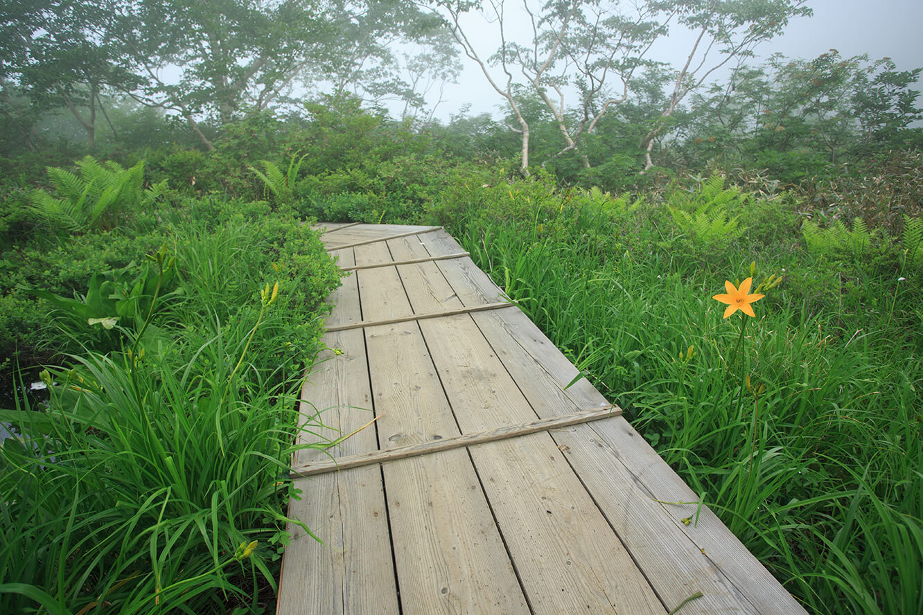 遊園木道