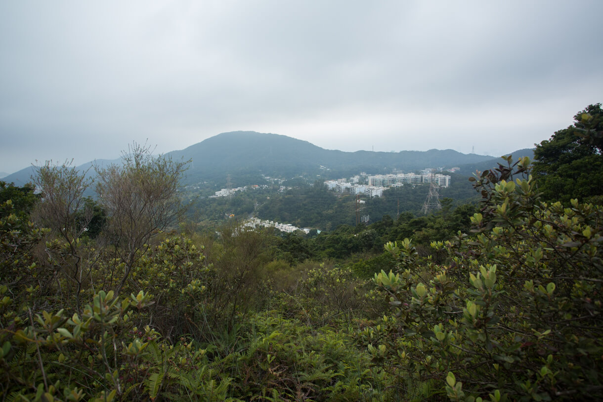 鷓鴣山