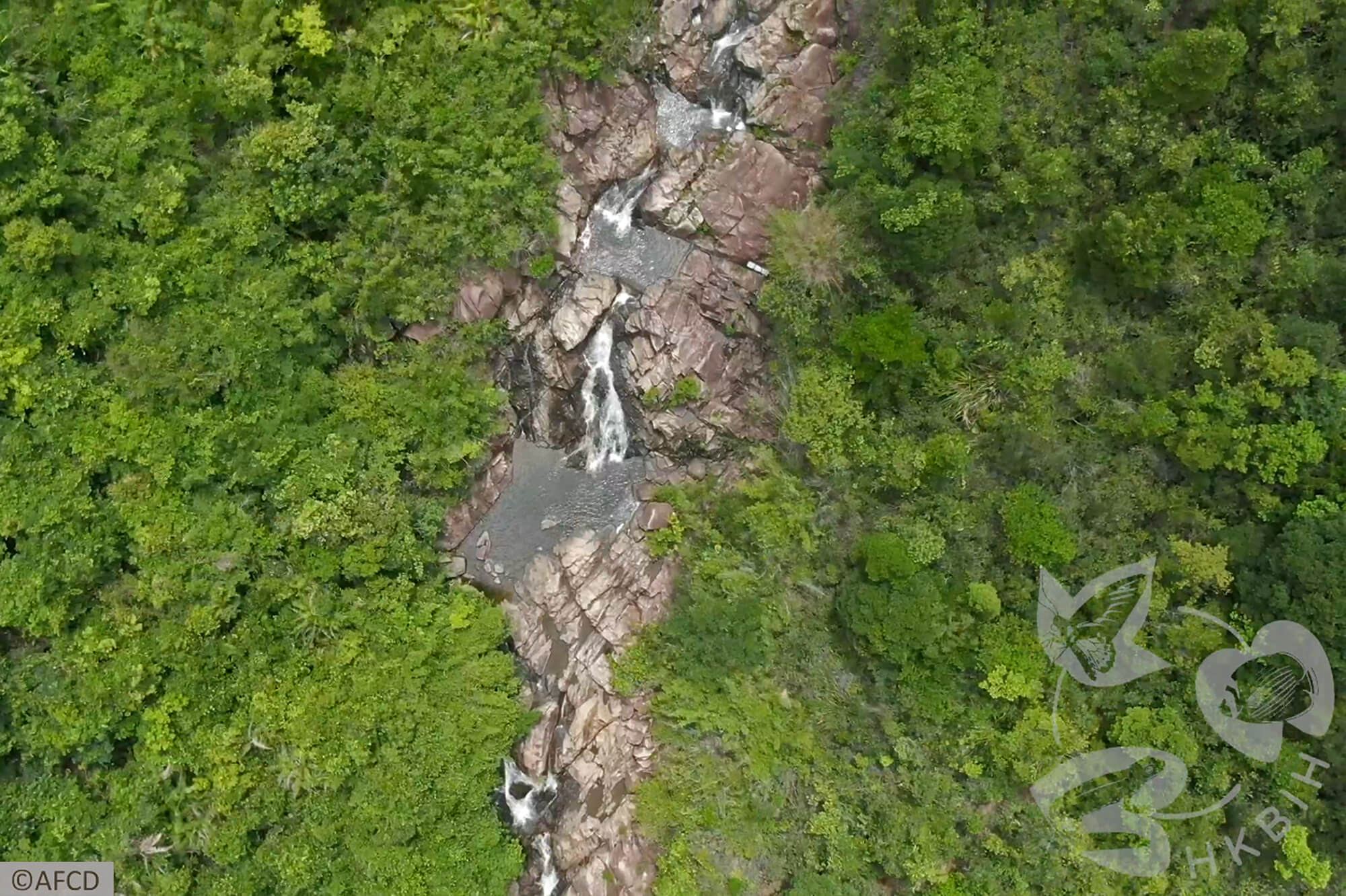 在山間蜿蜒的溪流