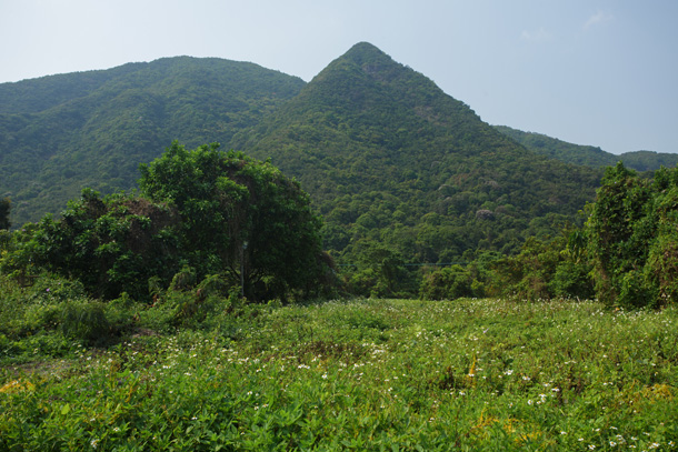 馬甲崙