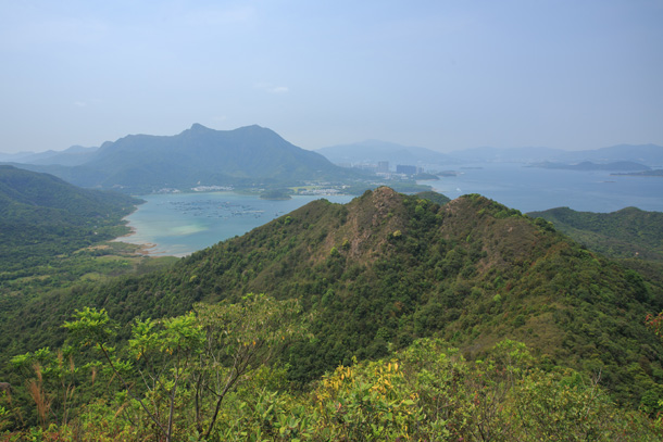 開丫峒