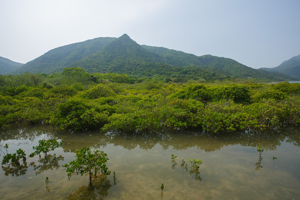 登山口就在後方