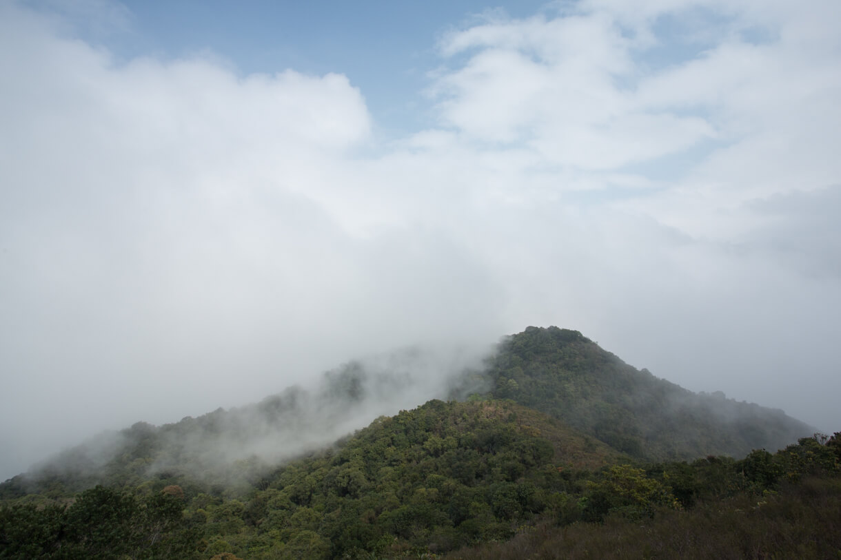 霧漸消散