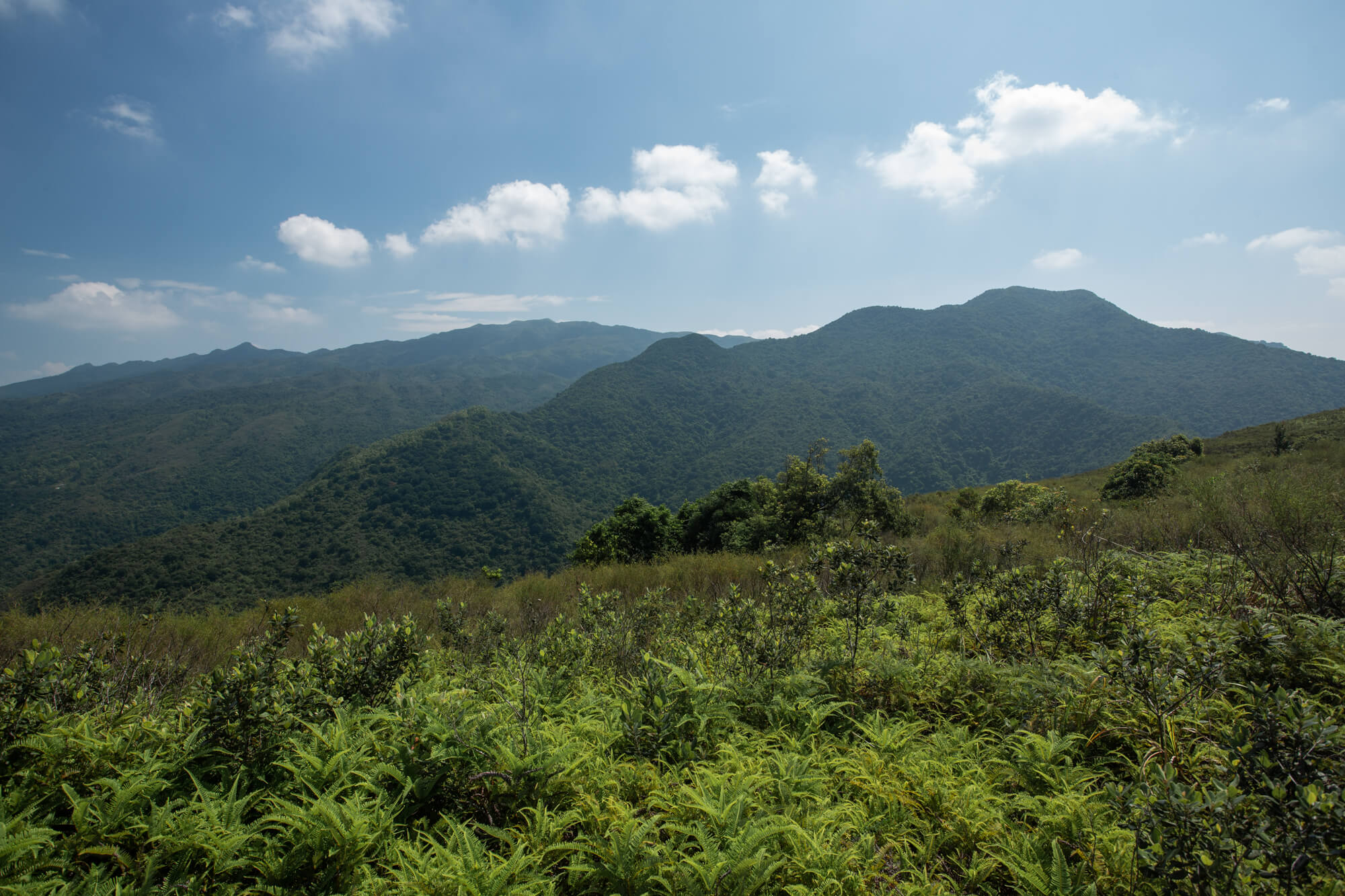 龜頭嶺