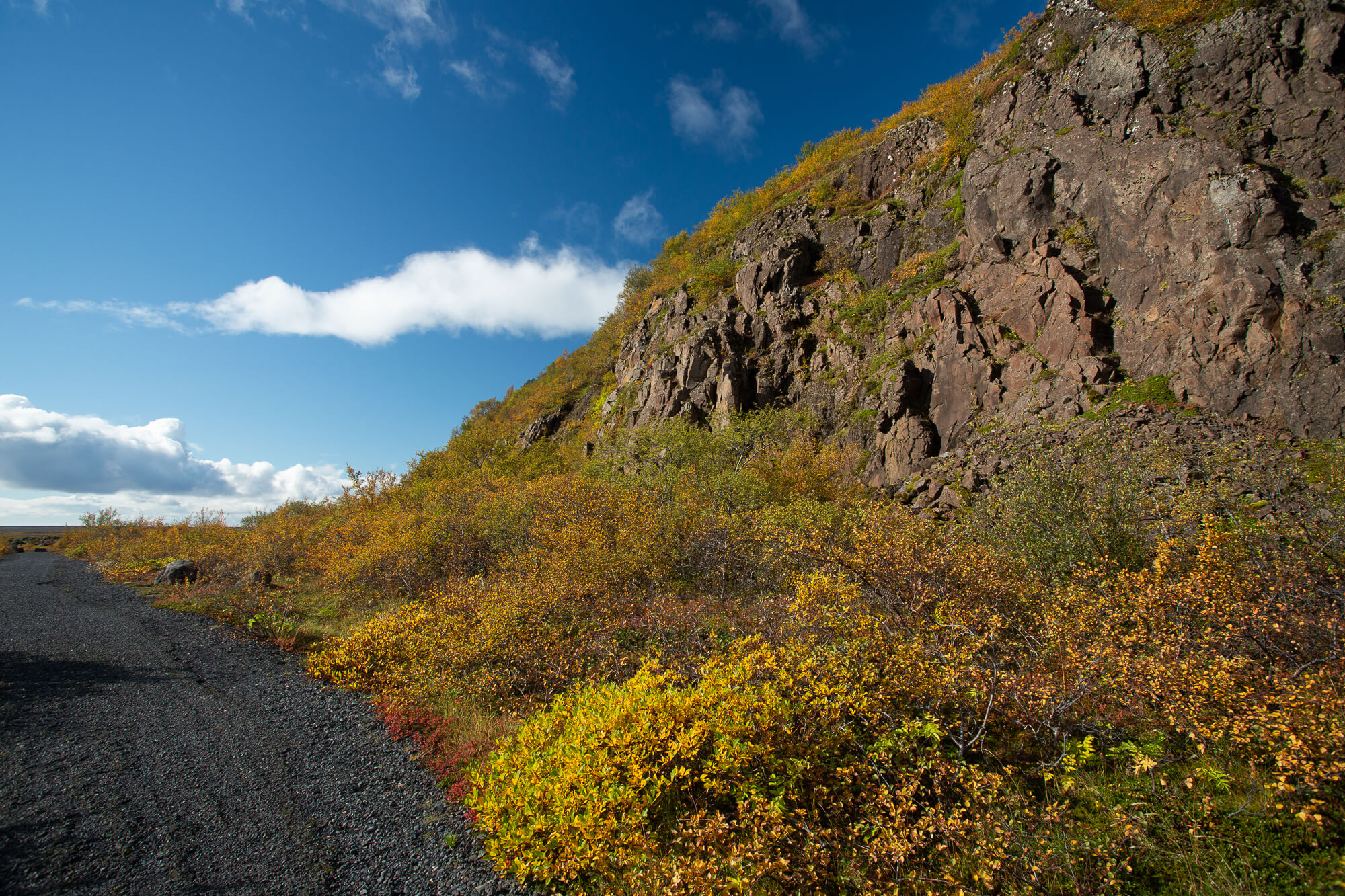 Vatnajökull National Park