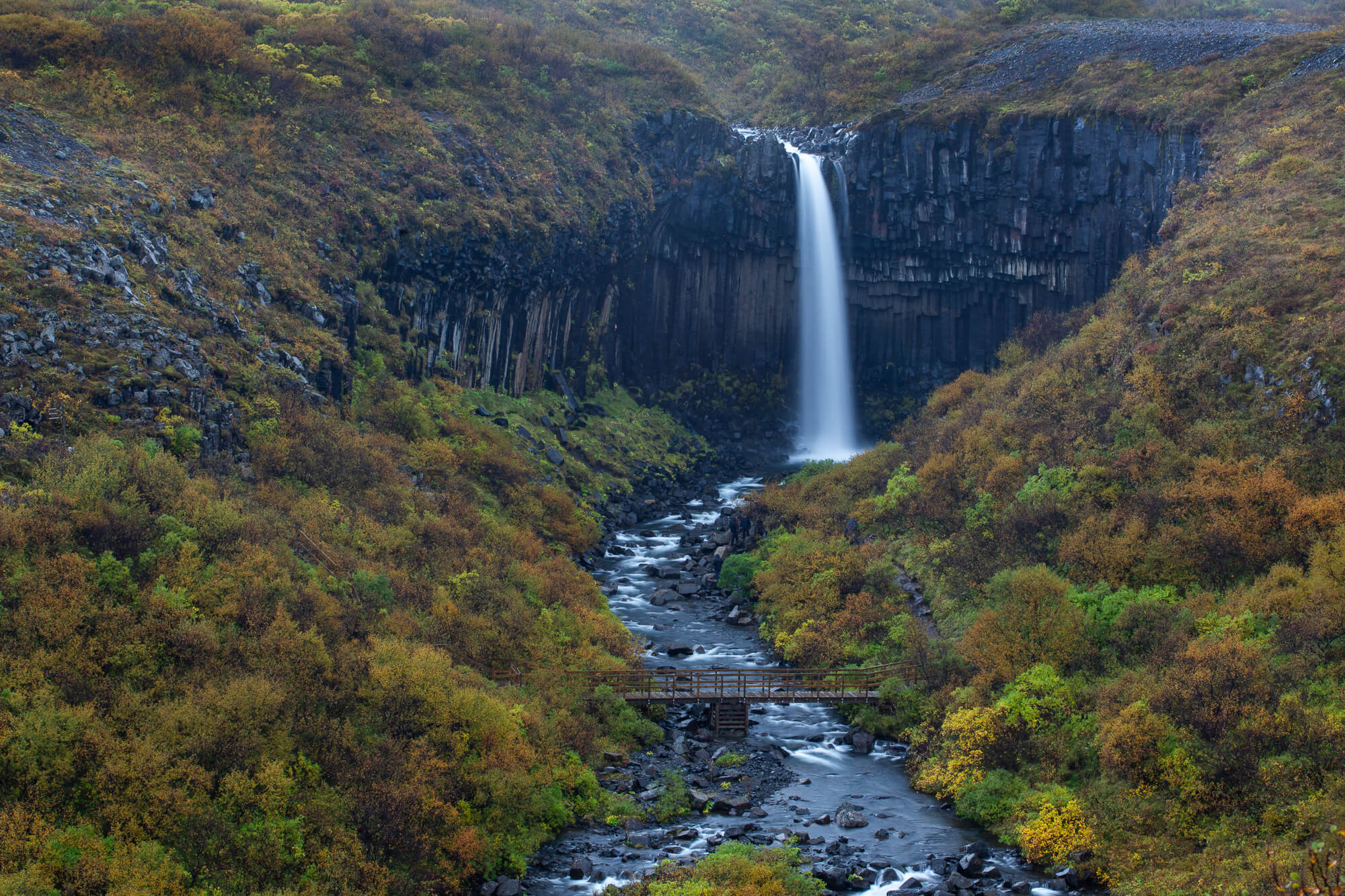 Svartifoss