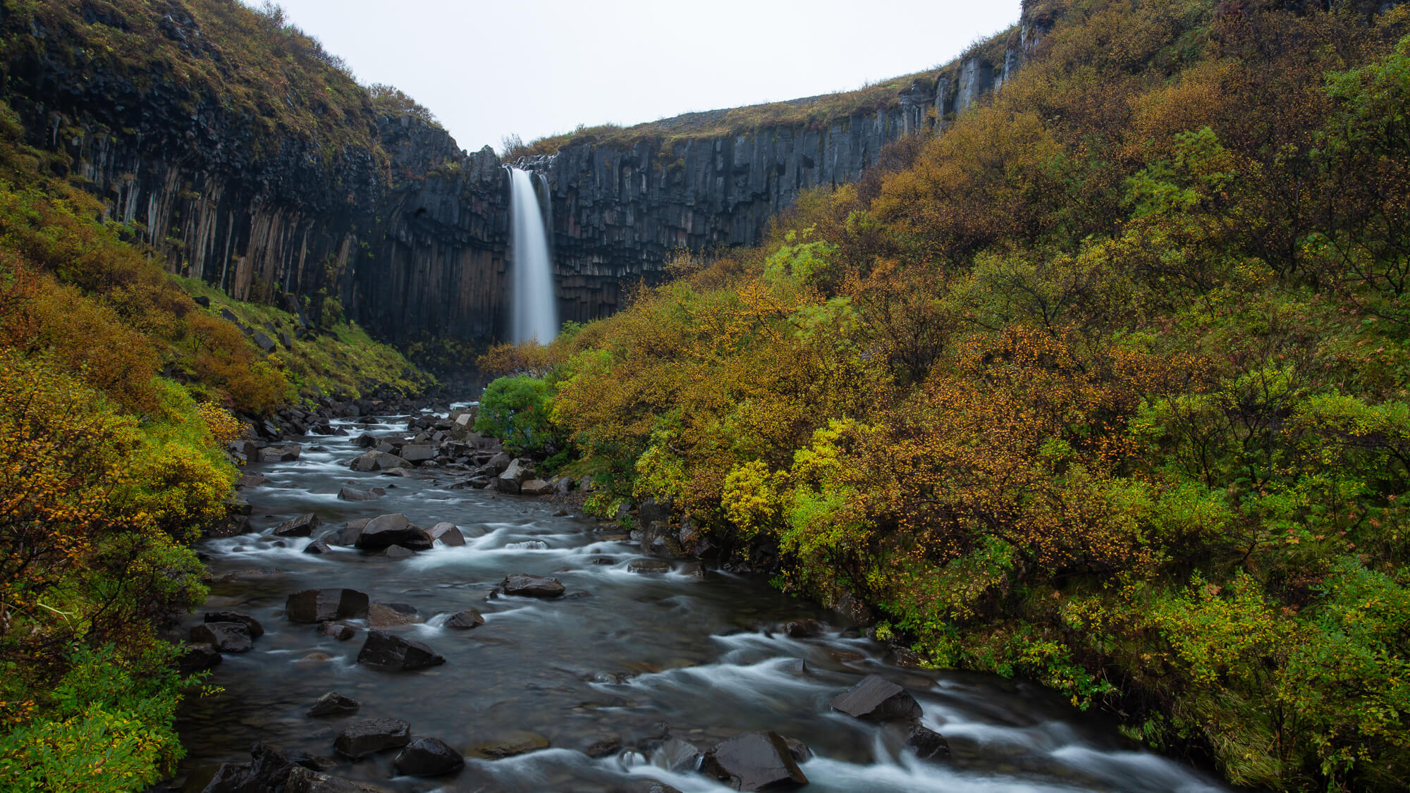 Svartifoss