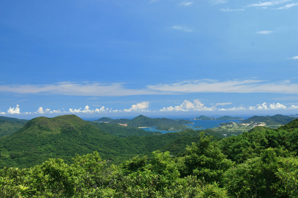 雞公山頂的視野