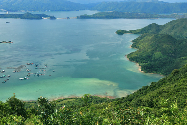 另一方是企嶺下海