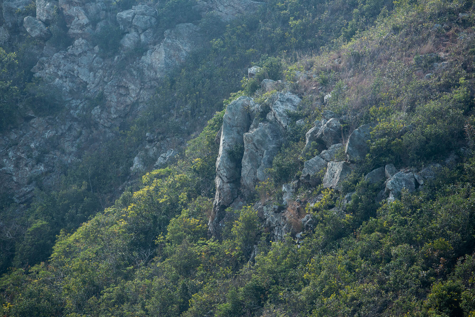 東坡的崢嶸石岩