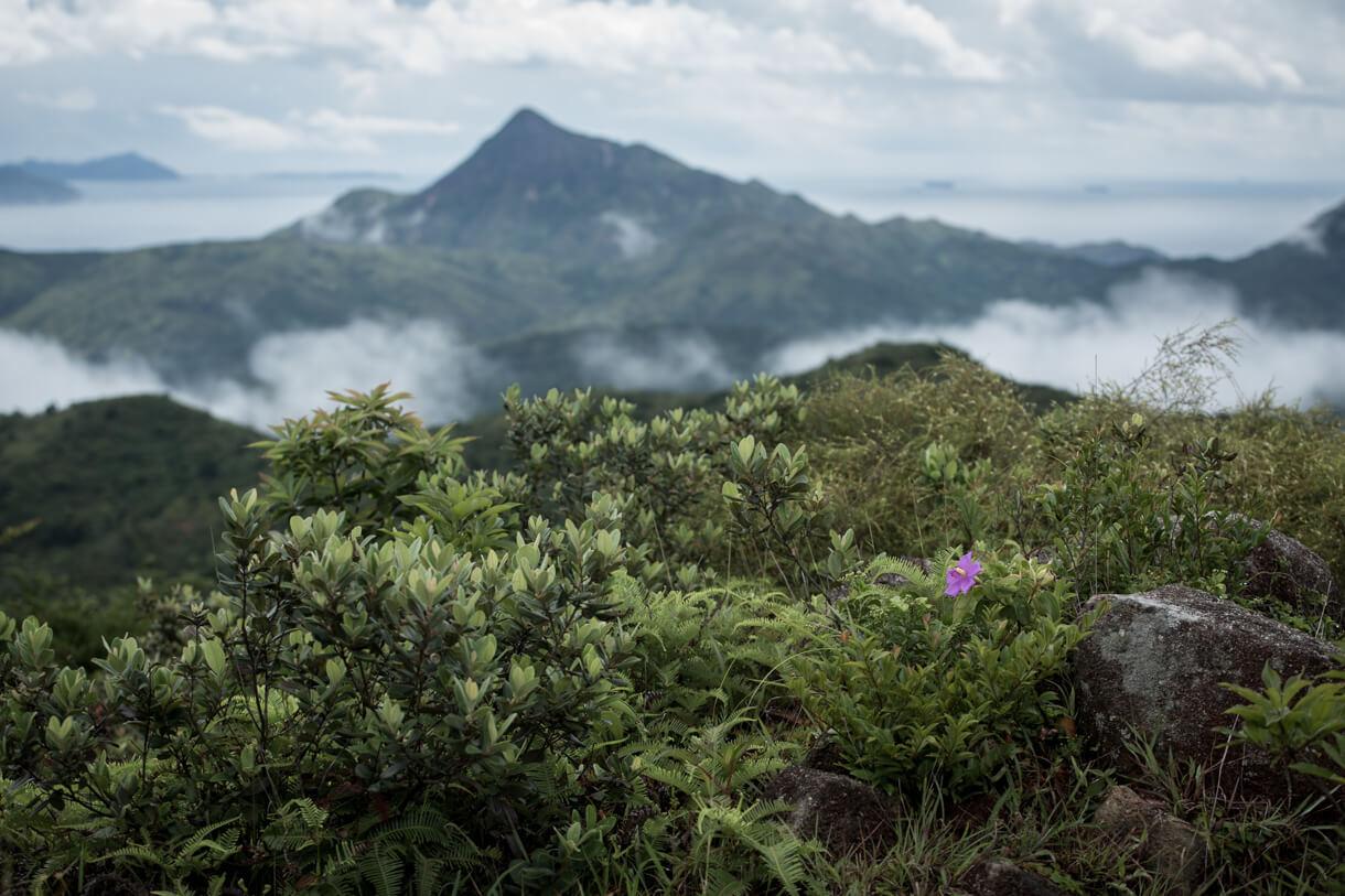 上攀石屋山回望