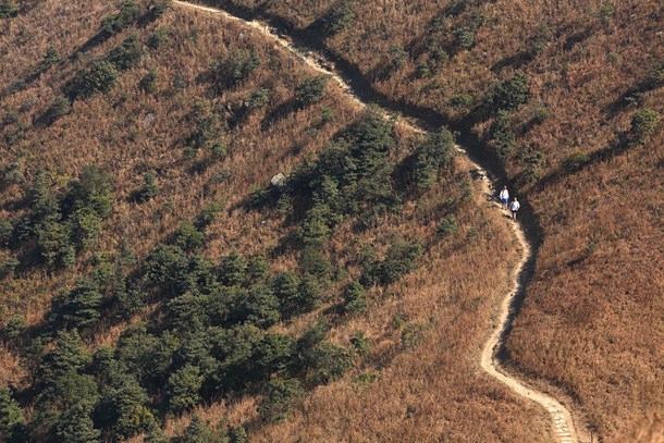 沿鳳凰徑直走伯公坳