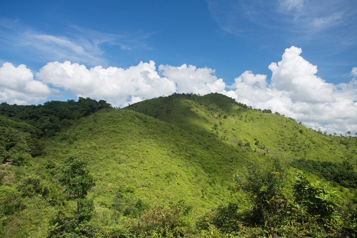 回看狗肚山