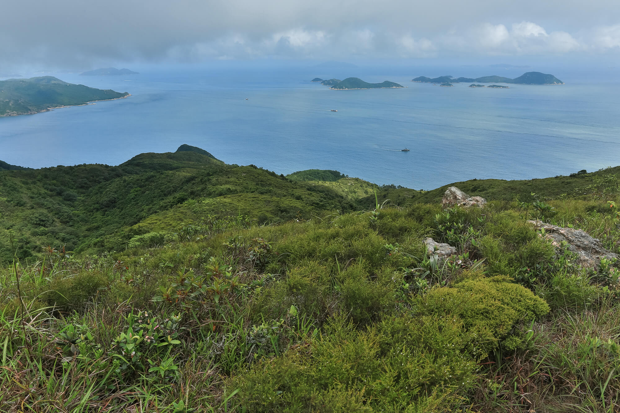 山坡都是灌叢