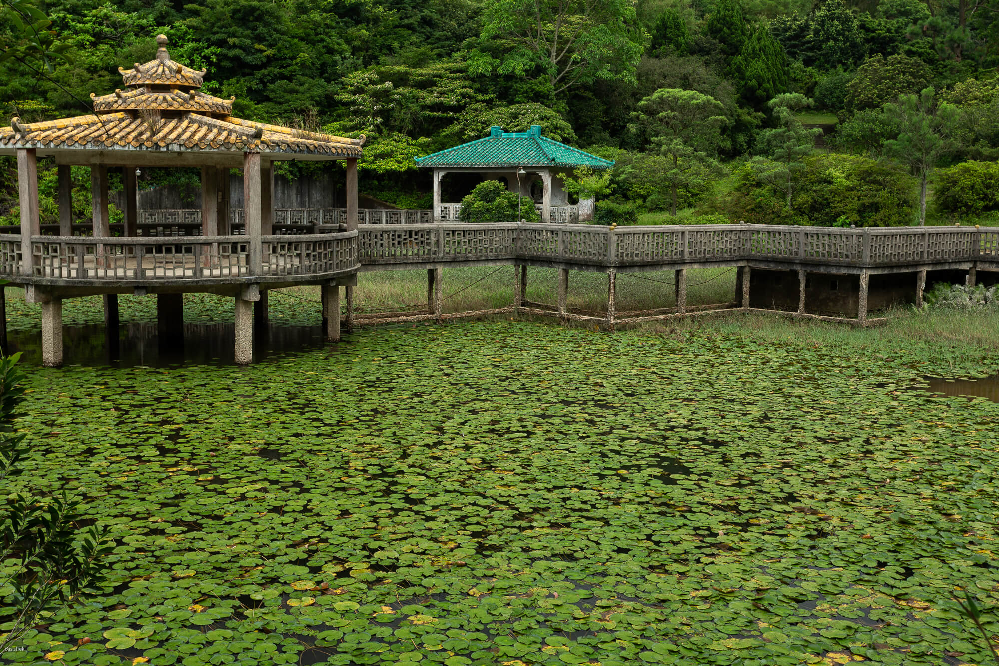 龍仔悟園