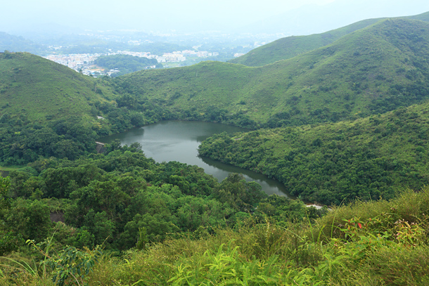 古洞水塘