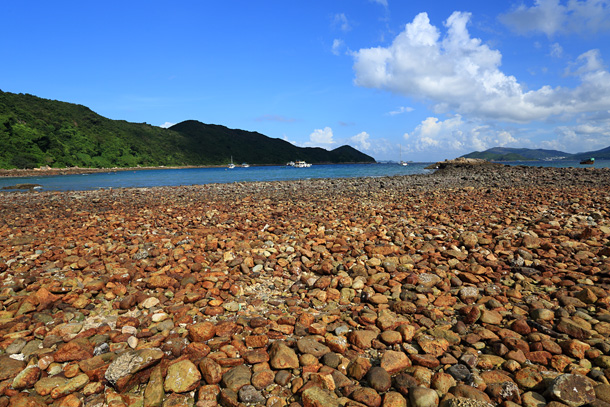 連島沙洲