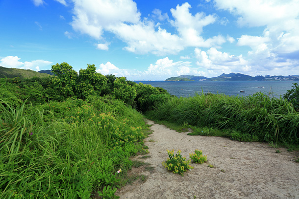 橋頭最高點