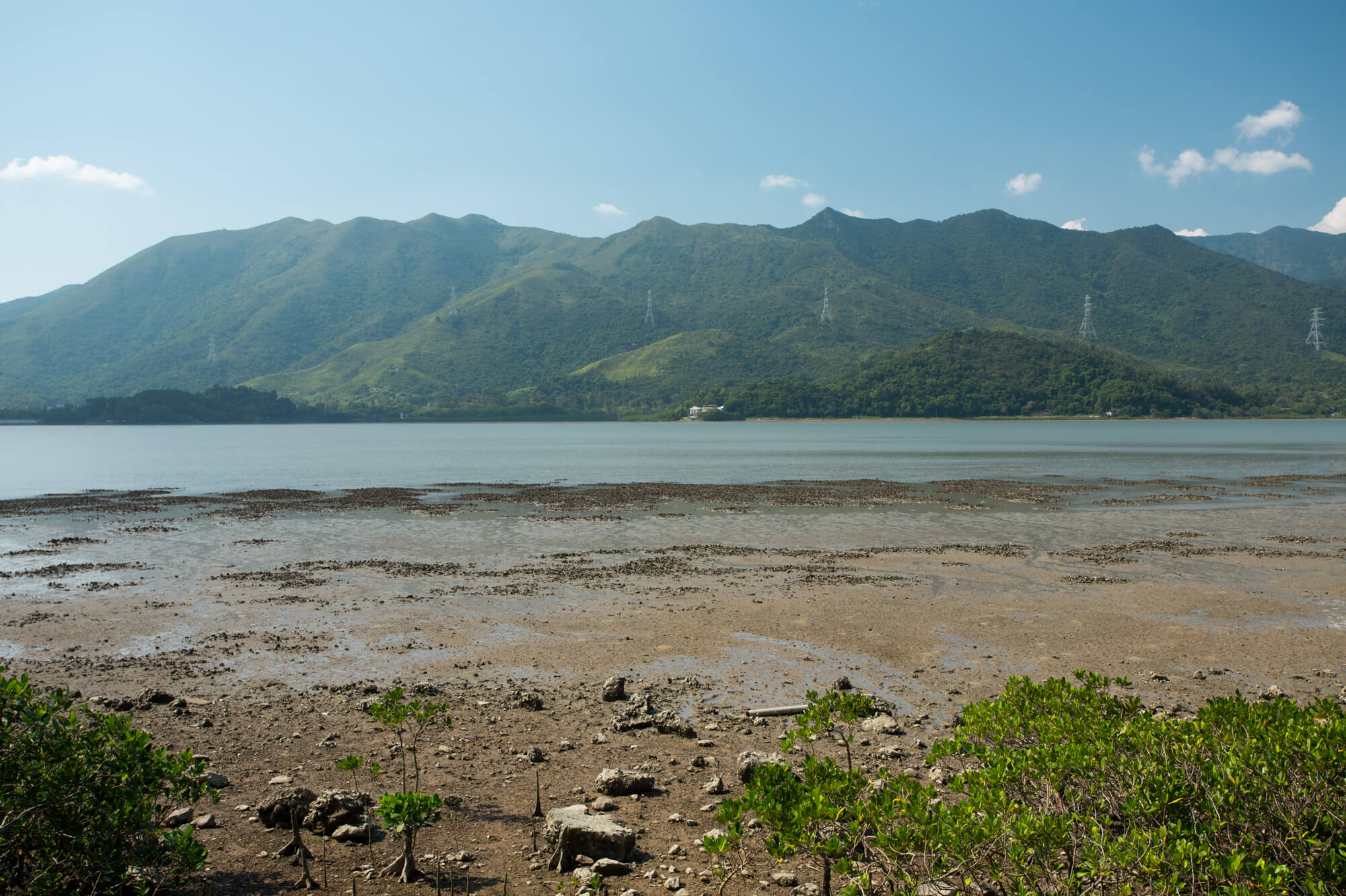 沙頭角海海傍