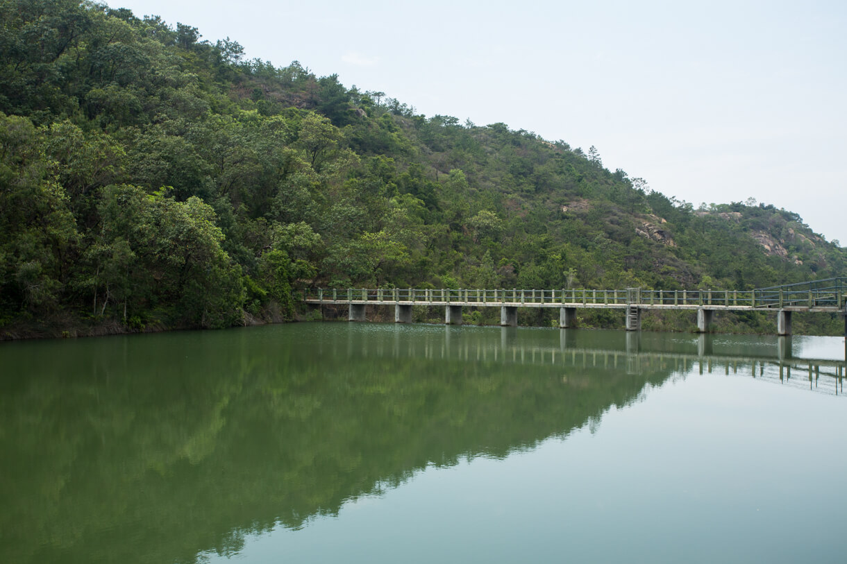 洪水坑水塘