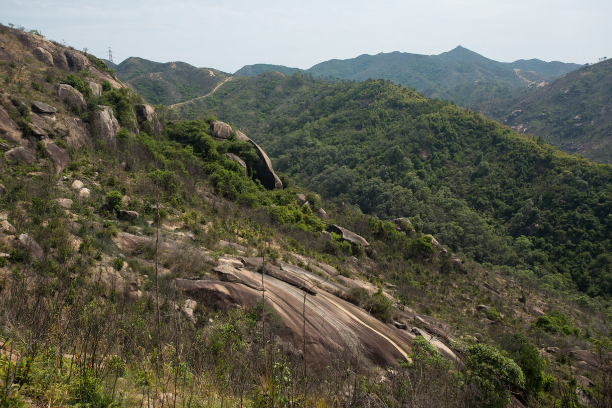 青山