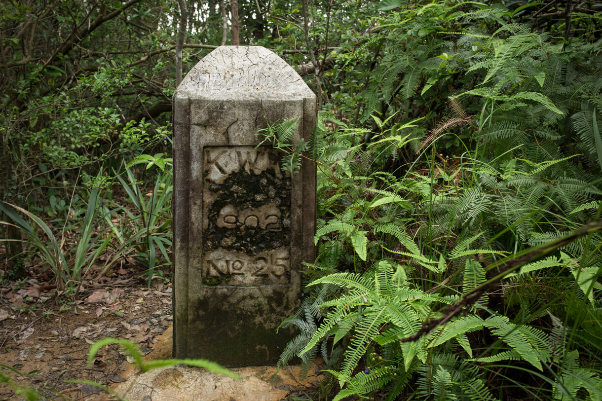 九龍水塘界石