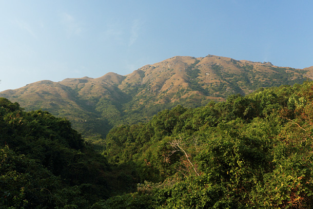 大東山