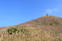 蓮花山行山路線