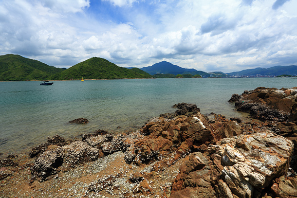 對岸已是鹽田港