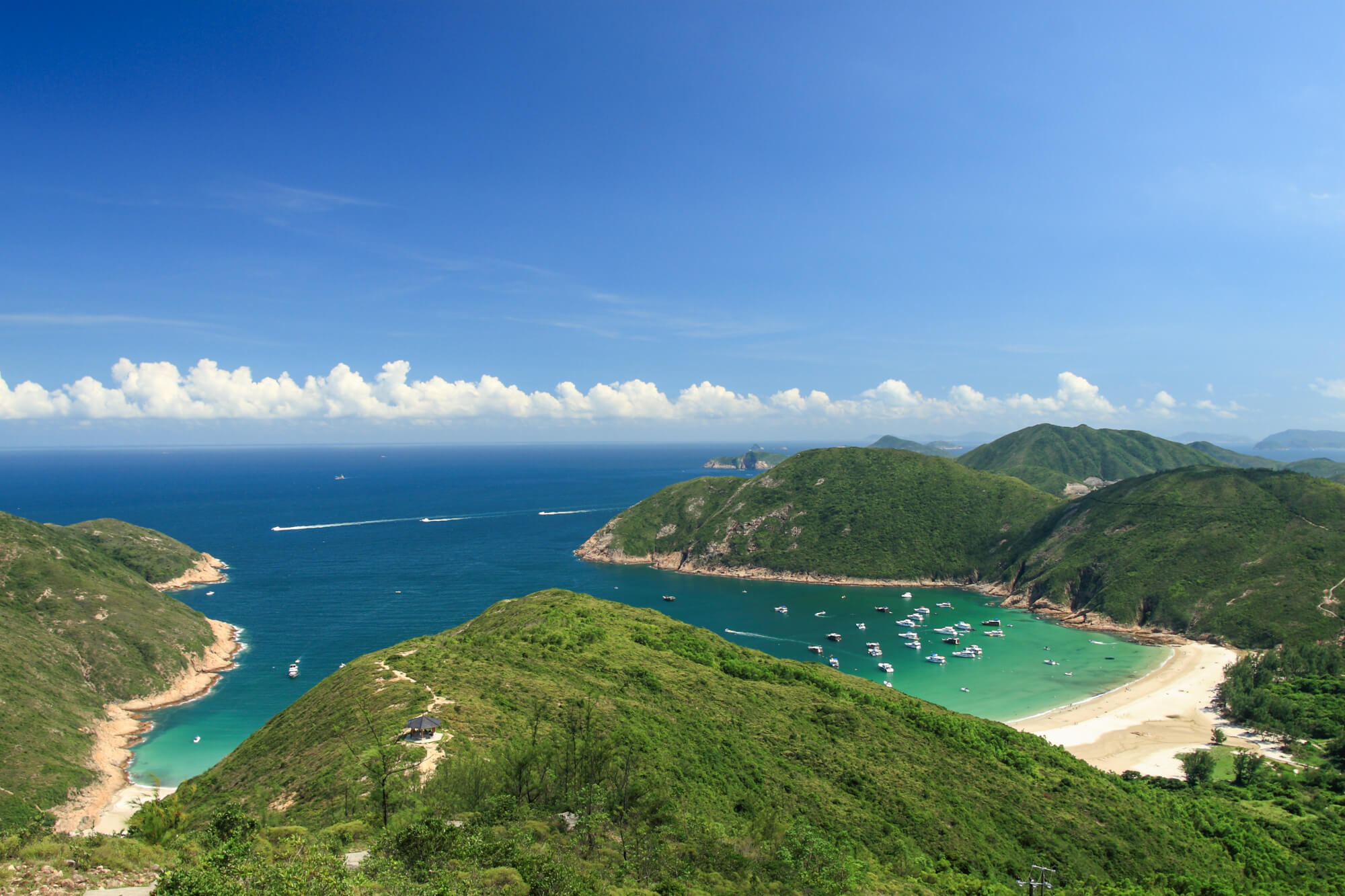 浪茄仔在左，浪茄在右