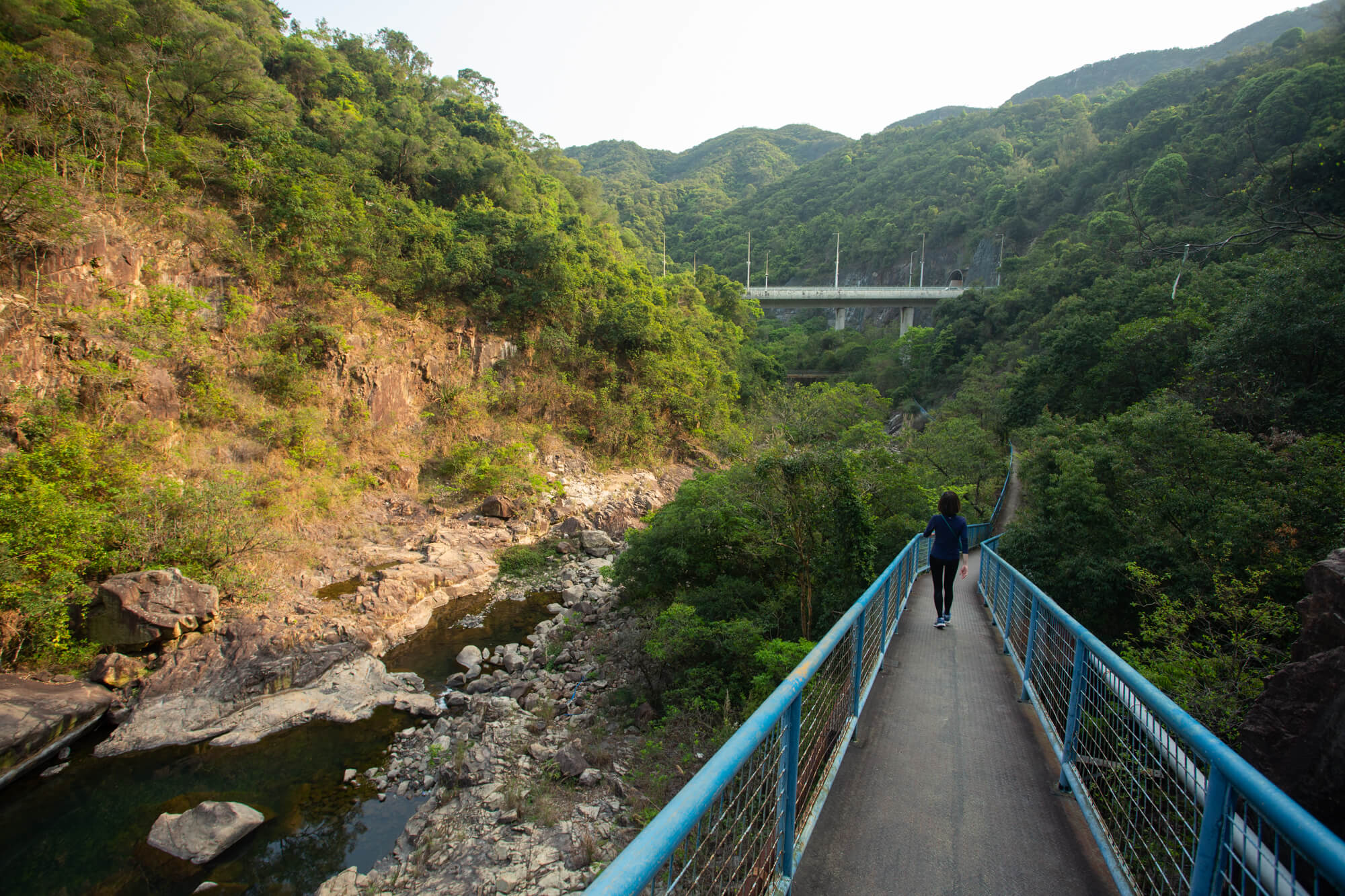 城門隧道橋墩架於水塘西端