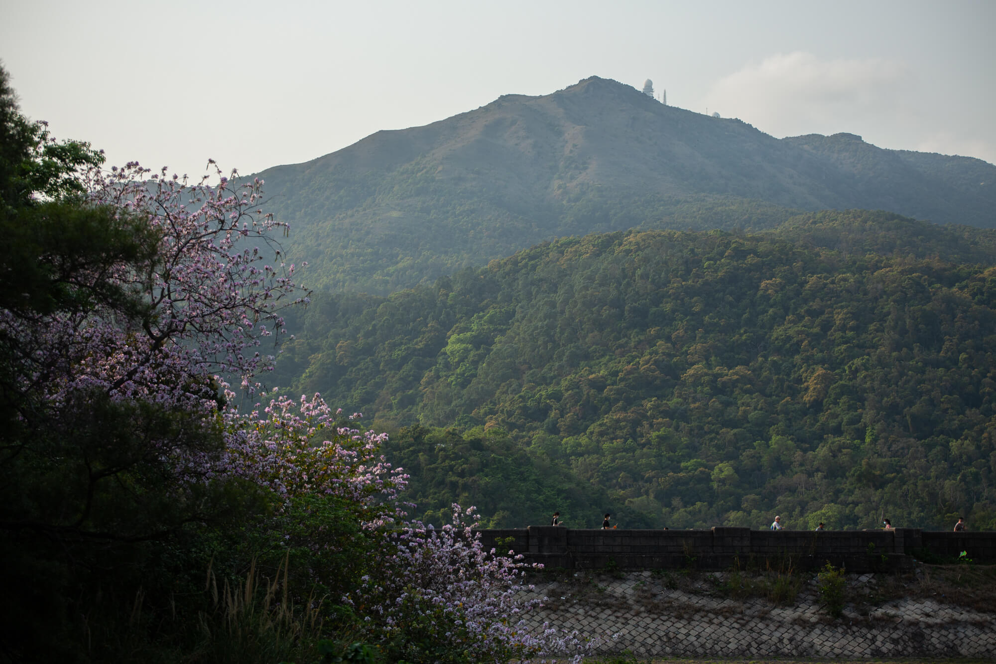 大帽山