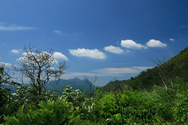 後方是馬鞍山