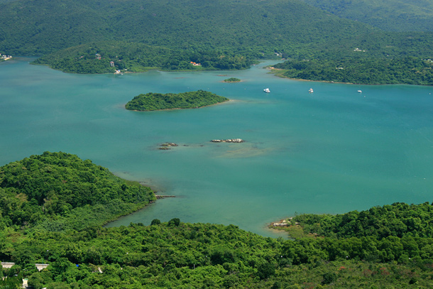 小島青洲