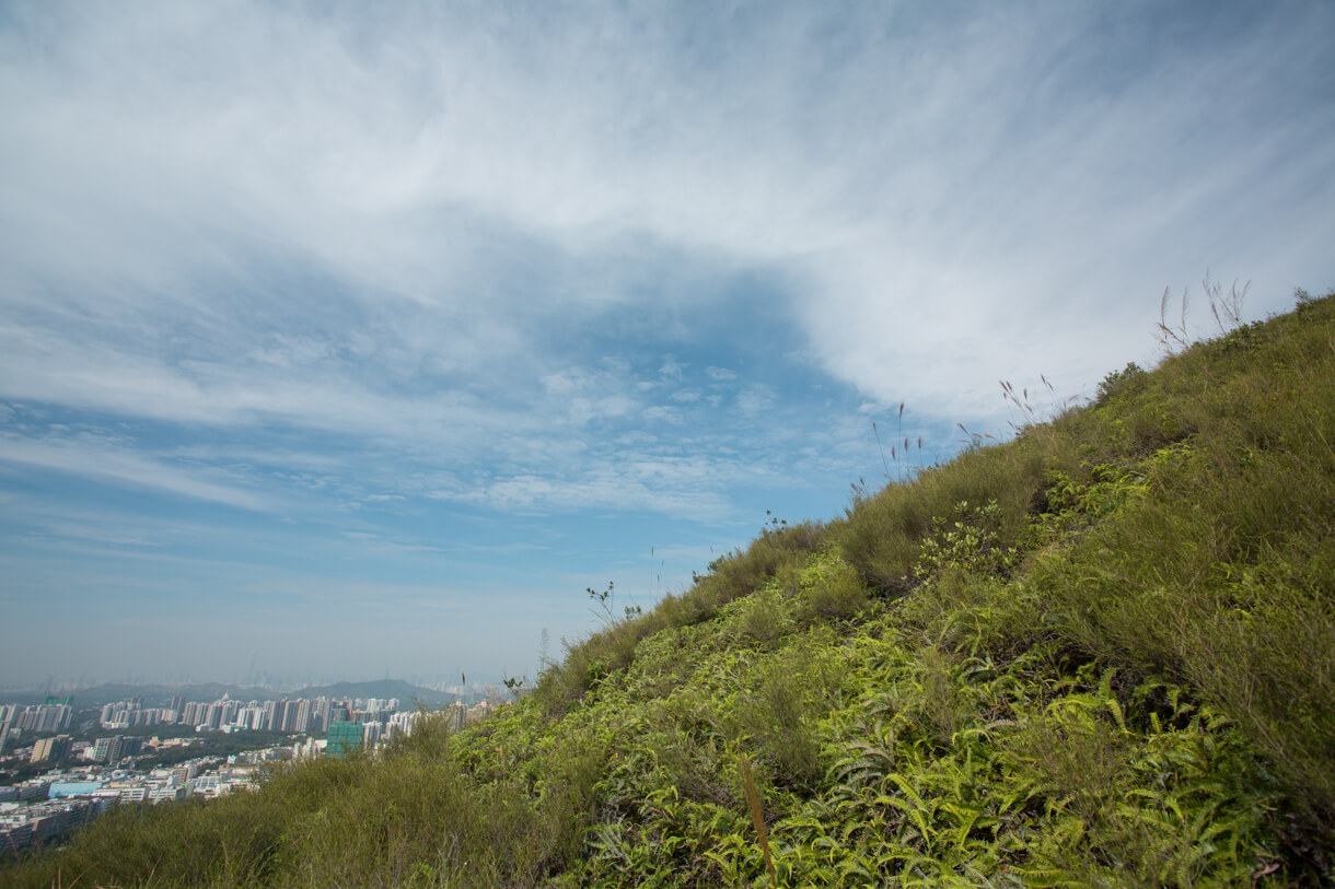 天氣轉晴