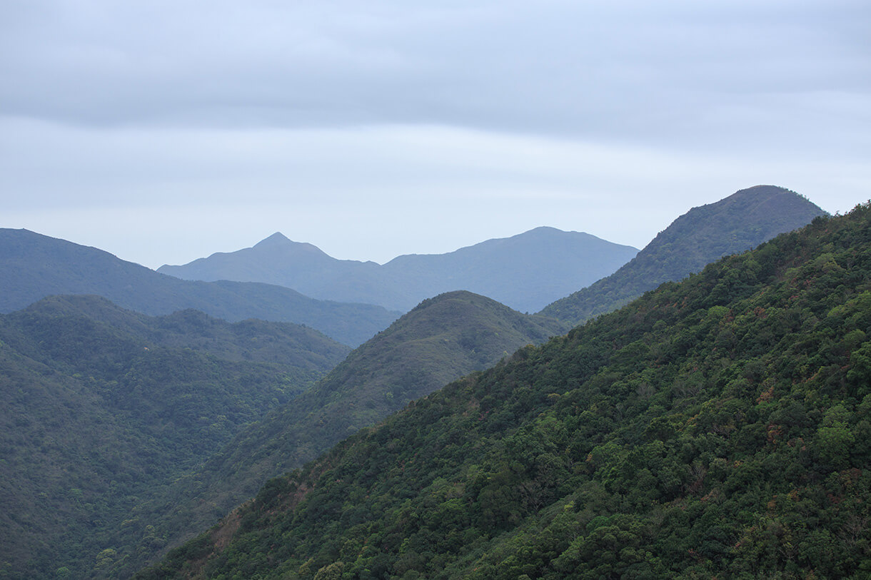 大蚊山