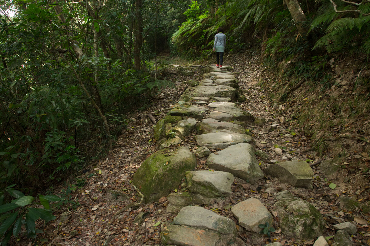 走過古道