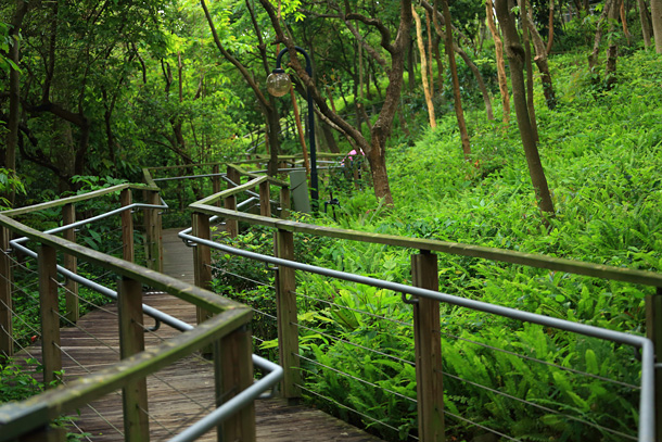 公園的棧道