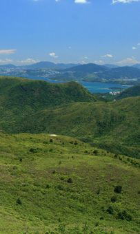 遠闊的風景