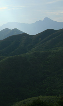 西貢西郊野公園的群山