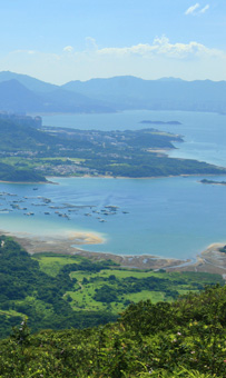 雞公山下瞰企嶺下海