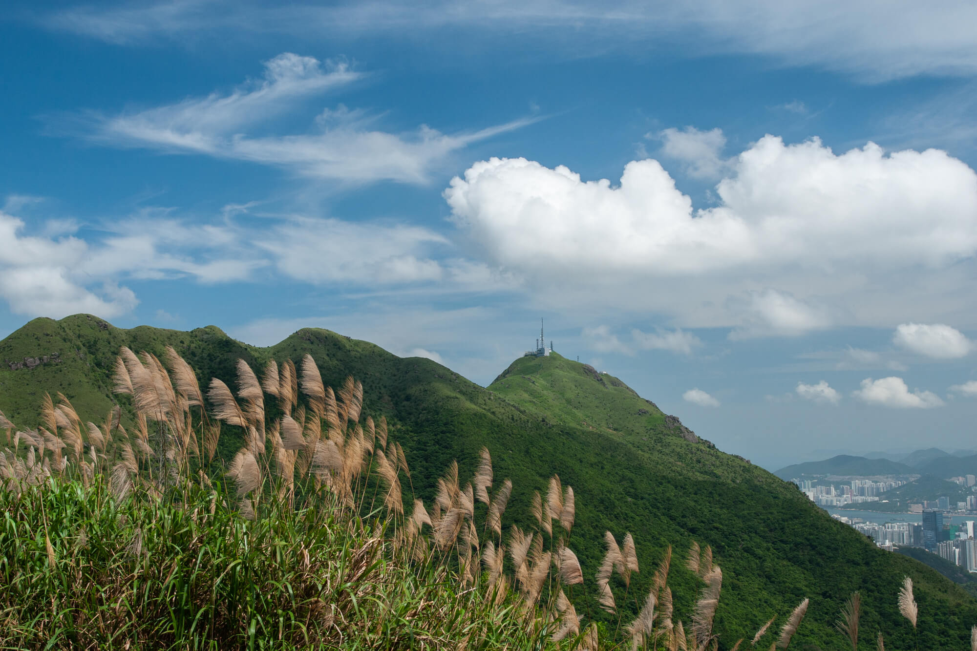 飛鵝山