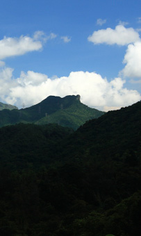 眺望獅子山，下方是城門水塘